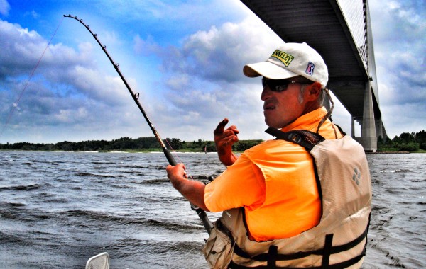 Jay fighting a Bull Red