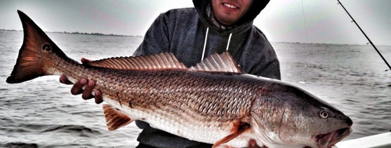 BIG JETTY MIXED BAG – Reds, Drum and Sea Bass
