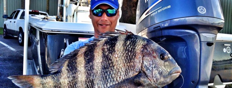 CHASING MONSTERS – 10 pound Sheepshead