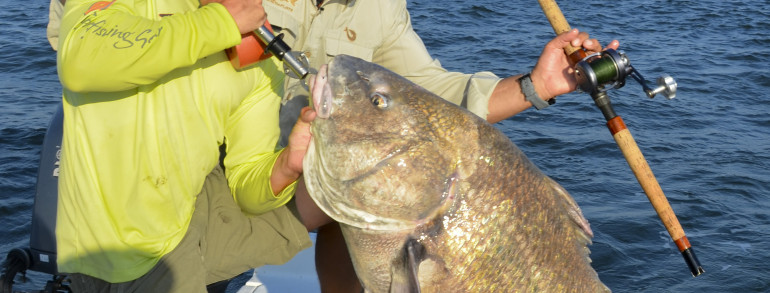 Gian’t Black Drum “Fishing The Flats” with Henry Waszczuk