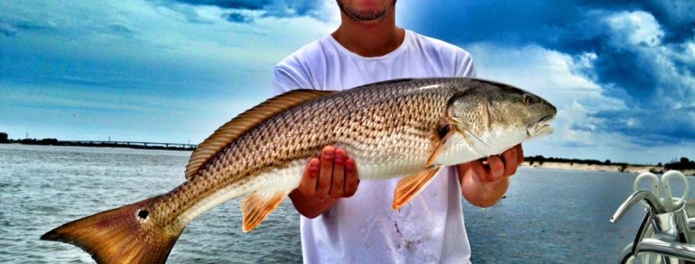 MAYPORT AND SURROUNDING AREAS – What’s been biting