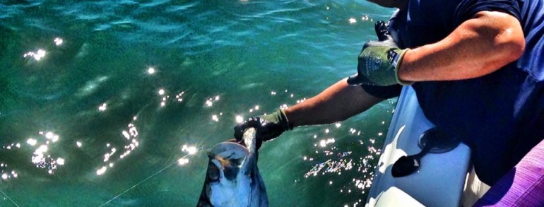 INLET TARPON – And a little bit of everything else