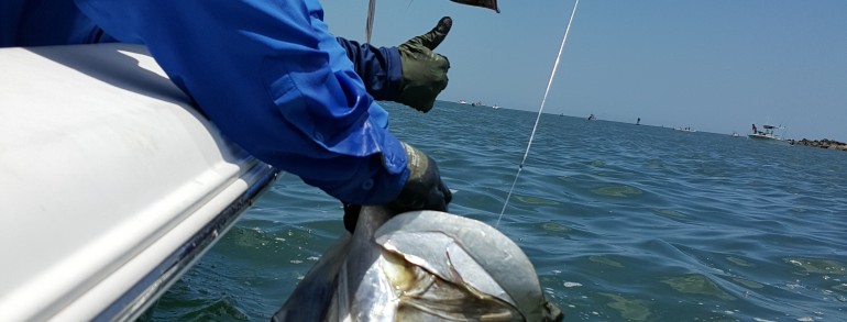 FISH OF A LIFE TIME – Anna’s first Tarpon