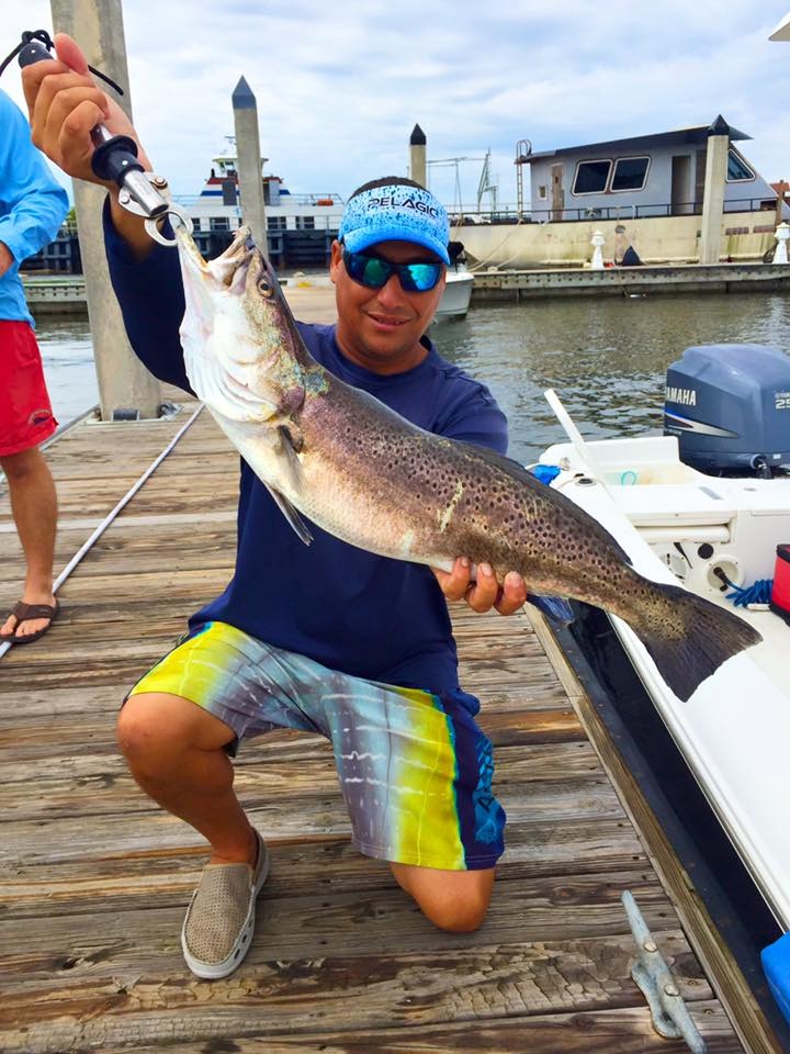 RIVER MONSTERS – 27″, 8LB Speckled Trout, 2lb,4oz Whiting and huge Bulls  09-14-15