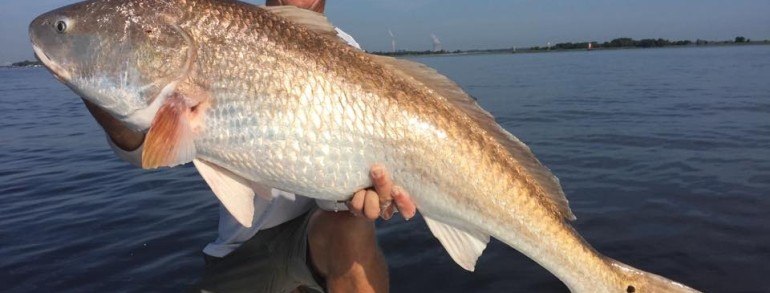 INLET AND ST JOHNS RIVER – Slot Reds, Bull Reds and a few others  09-07-15