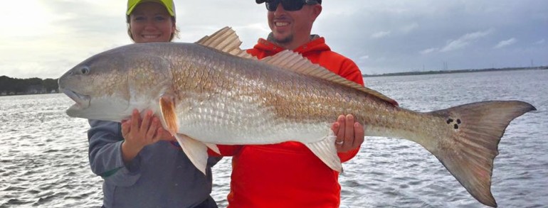 GOING LIGHT ON RIVER DONKEYS – Red Drum and Yellow Mouth Trout Report 11-23-15