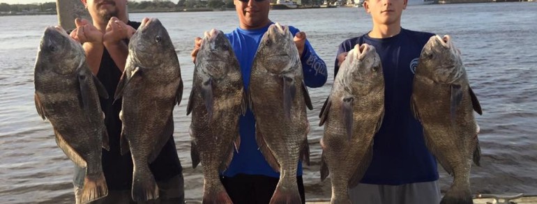 BUMPIN UGLIES – Black Drum for days 12-27-15