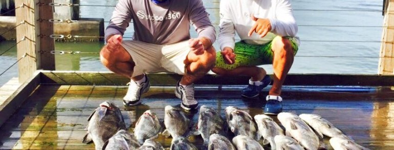 WRAPPING UP 2015 WITH A DRUM ROLL – Inlet Black Drum and Reds  01-03-16