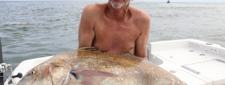 DRUM BY DAY, TROUT BY NIGHT – Black Drum Spawn and dock light Trout fishing