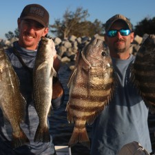 Couple of solid Sheepshead and Speckled Sea Trout