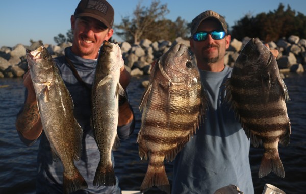 Couple of solid Sheepshead and Speckled Sea Trout