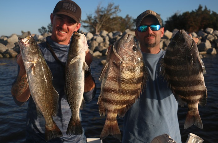 Couple of solid Sheepshead and Speckled Sea Trout