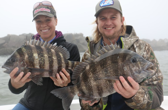 twin 6 pound Sheepshead