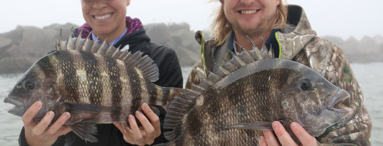 twin 6 pound Sheepshead