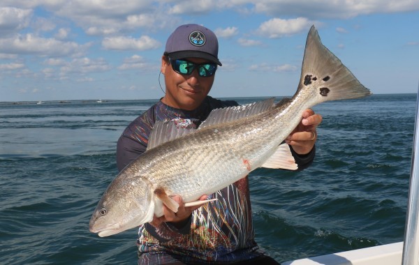 Perfect tournament sized Red Drum