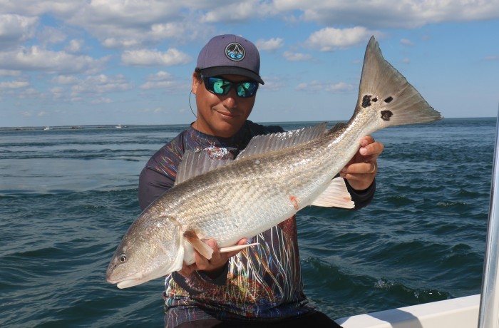 Perfect tournament sized Red Drum