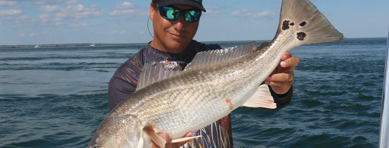 Perfect tournament sized Red Drum