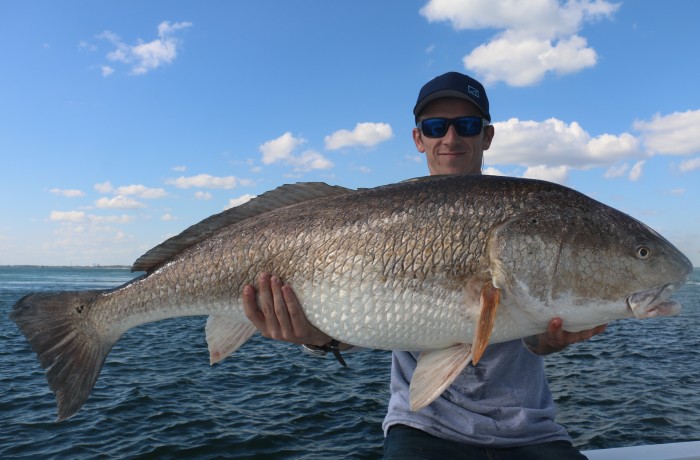 44 inch Bull Red Drum