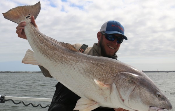 45 Inch Bull Red Drum
