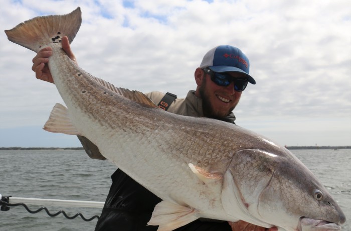45 Inch Bull Red Drum