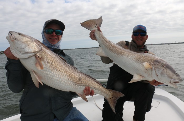 Double trouble on giant Bull Reds