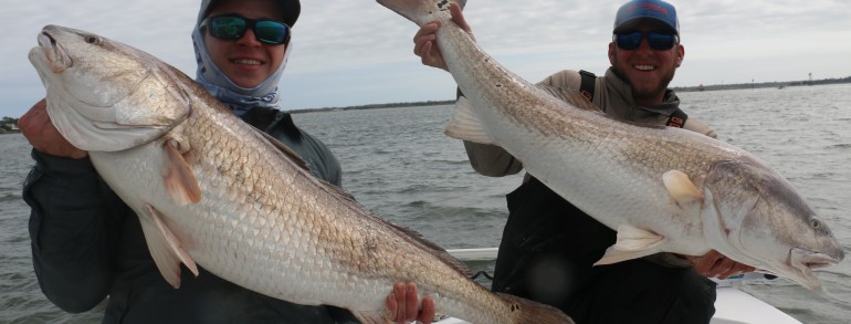 Double trouble on giant Bull Reds