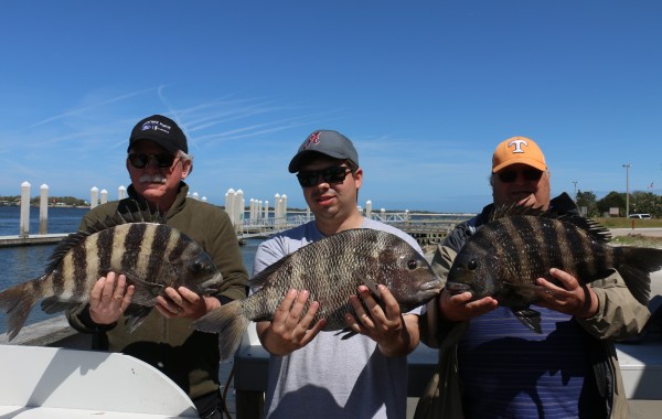 Two 10 pounders and a 9 pounder