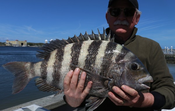 Another 10 Pound Convict