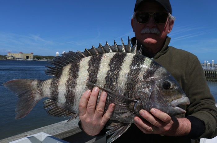 Another 10 Pound Convict