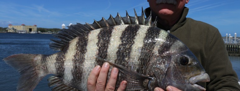 Another 10 Pound Convict