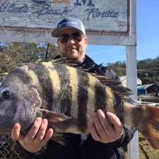 11 pound Sheepshead