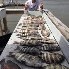 The freezer is officially full