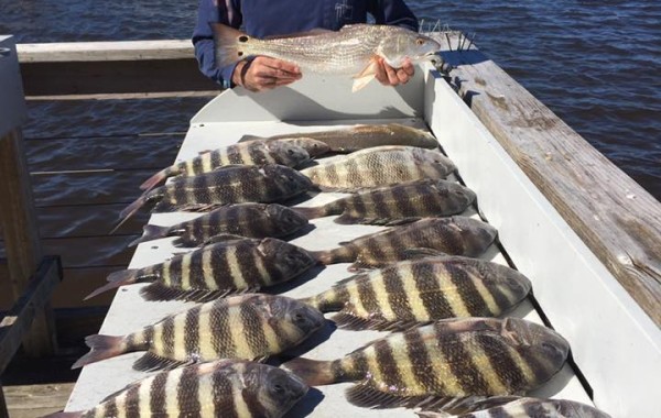 Slower day but still loaded up on the meat