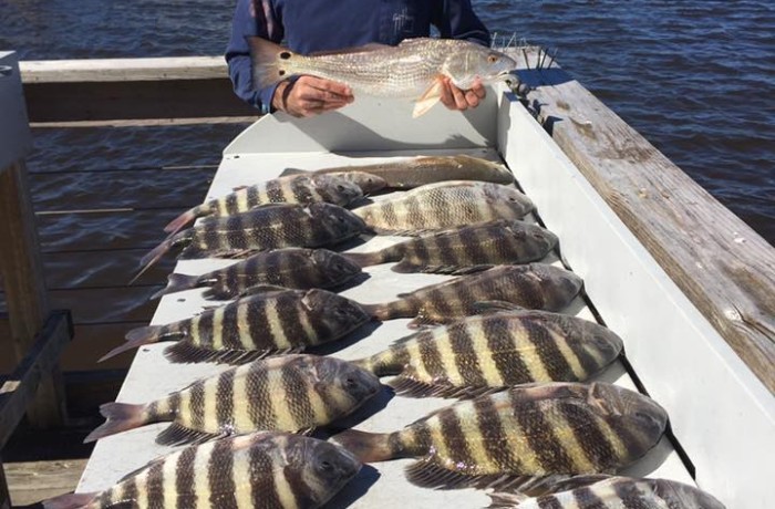 Slower day but still loaded up on the meat