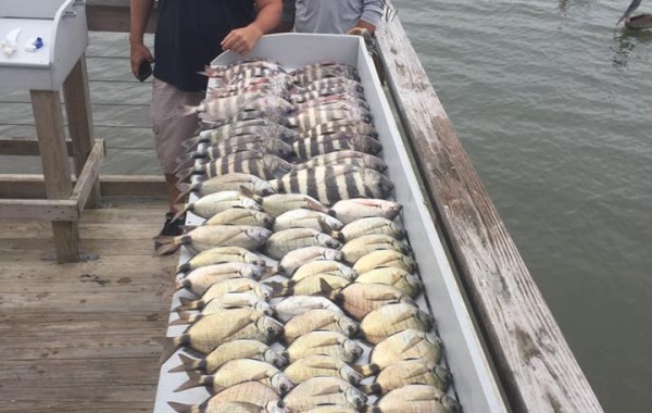 An inshore trip that will make the offshore guys envious