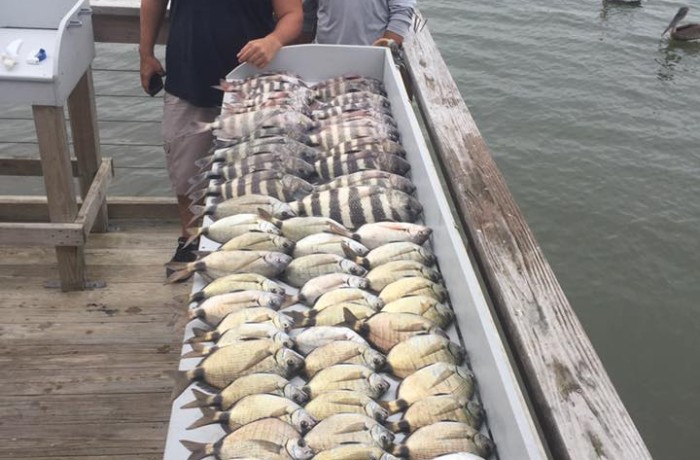 An inshore trip that will make the offshore guys envious