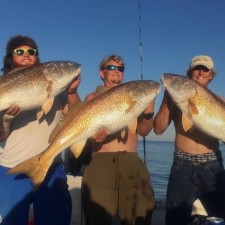 Couple of captains from Tampa buddy boating for some Bulls