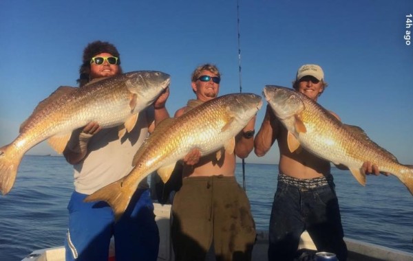 Couple of captains from Tampa buddy boating for some Bulls
