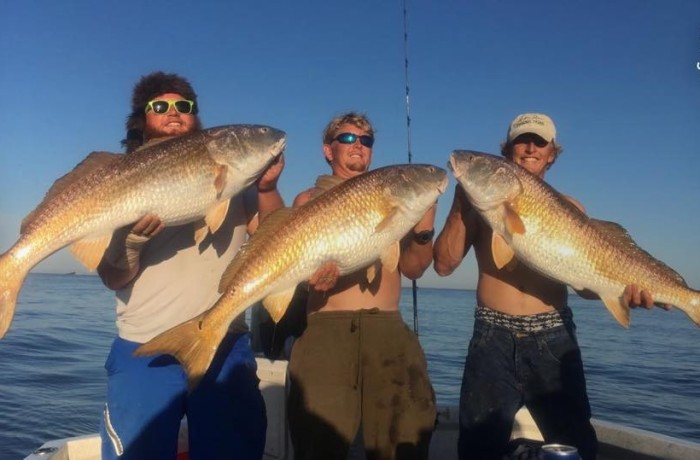 Couple of captains from Tampa buddy boating for some Bulls