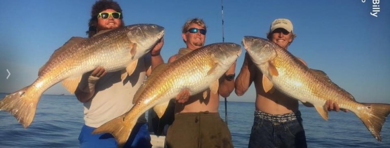 Couple of captains from Tampa buddy boating for some Bulls