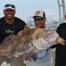 A monster Drum caught while filming a Fins n Skins show with Henry waszczuk and Donovin Darius of the Jacksonville Jaguars