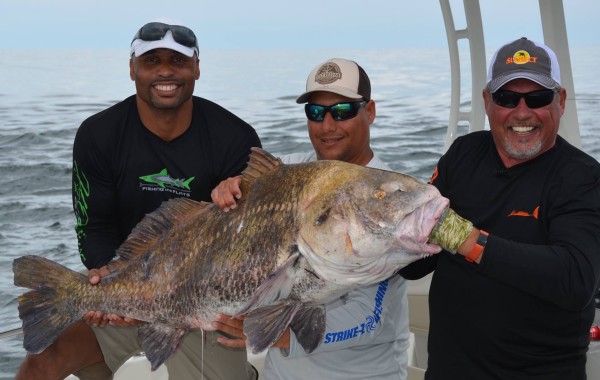 A monster Drum caught while filming a Fins n Skins show with Henry waszczuk and Donovin Darius of the Jacksonville Jaguars