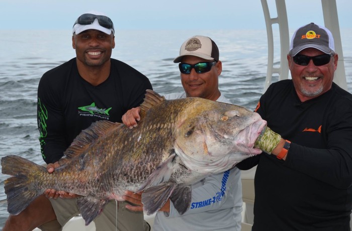 A monster Drum caught while filming a Fins n Skins show with Henry waszczuk and Donovin Darius of the Jacksonville Jaguars
