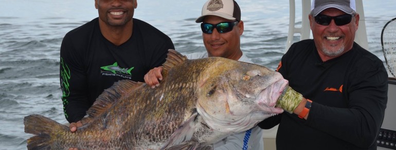 A monster Drum caught while filming a Fins n Skins show with Henry waszczuk and Donovin Darius of the Jacksonville Jaguars
