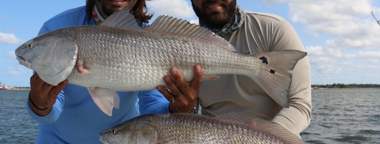 Nice set of River Pumpkins