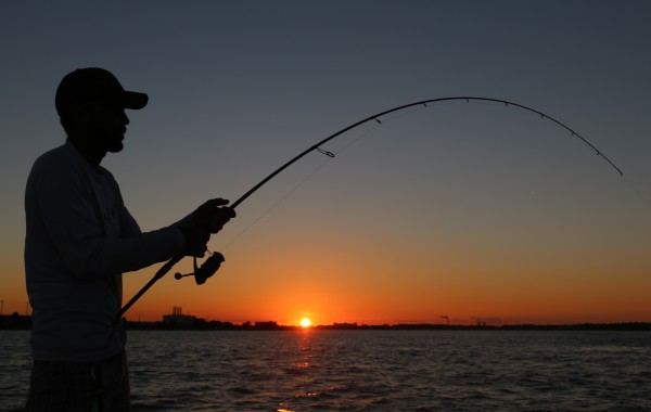 Jonathan doing what he does