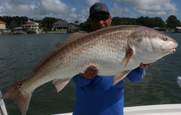 Yours truly with a Redzilla