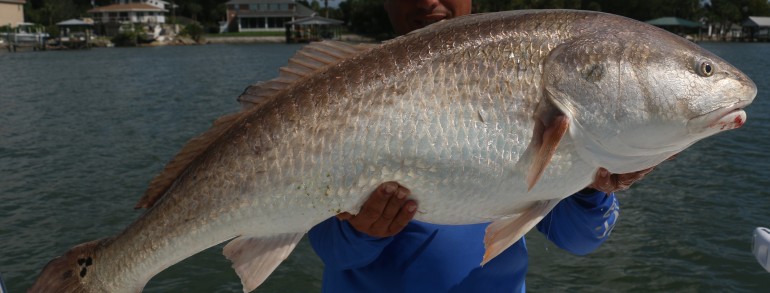 Yours truly with a Redzilla