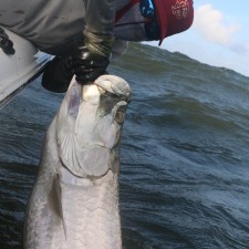 Chip Dellinger with the victory shot of 100+ pound Tarpon