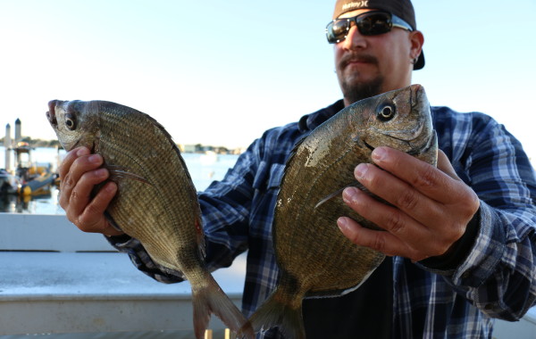 Timmy with a pair of giant Ring Tails